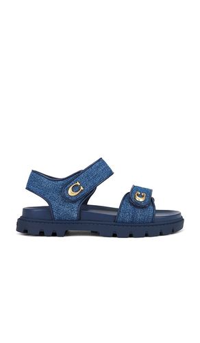 SANDALES PLATES SANDALS in . Size 7.5, 8 - Coach - Modalova