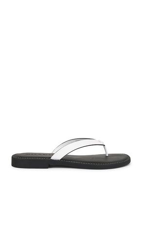 TONGS SANDALS in . Size 6, 7, 8 - Coach - Modalova