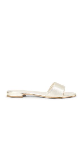 SANDALES CANNUCCE in . Size 39, 40 - CoRNETTI - Modalova