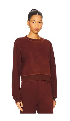 SWEAT RAS DE COU ROMA en . Taille S. Also en XS, M - COTTON CITIZEN - Modalova