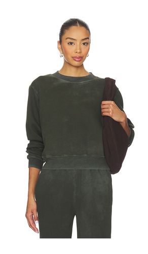 RAS DE COU ROMA en . Taille L. Also en XS - COTTON CITIZEN - Modalova