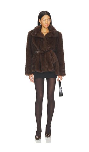 COLLANTS ULTIMATE en . Taille L. Also en M, S, XL - Commando - Modalova