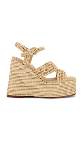 SANDALES FIODORA in . Size 39 - Castaner - Modalova