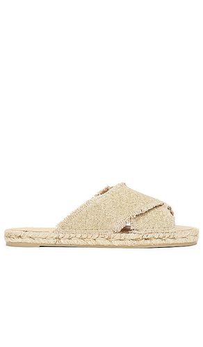 SANDALES PALMERA in . Size 36 - Castaner - Modalova