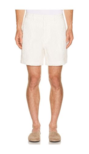Lucio Short in . Size 30. Also in 32, 34, 36 - Cult Gaia - Modalova