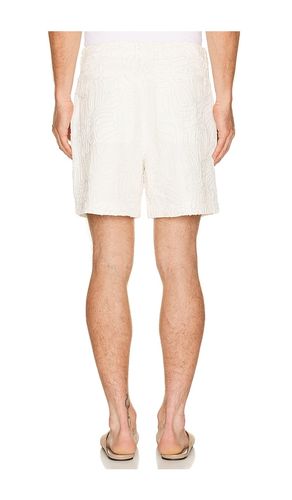 Lucio Short in . Size 30. Also in 32, 34, 36 - Cult Gaia - Modalova