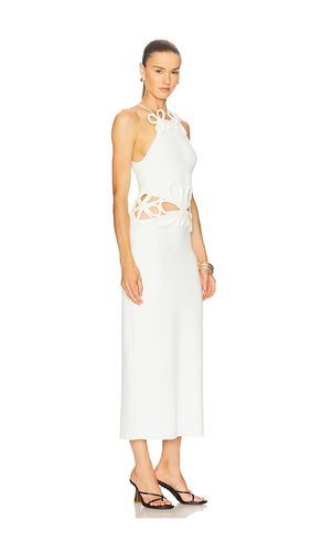 ROBE PULL JENA en . Taille XS. Also en M - Cult Gaia - Modalova