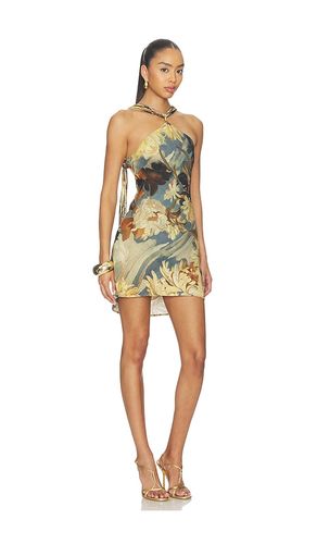ROBE ALEX en ,. Taille 0. Also en 10, 2, 4, 8 - Cult Gaia - Modalova