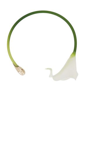 COLLIER RAS DU COU CALLA in - Cult Gaia - Modalova