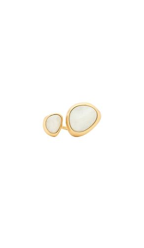 Cult Gaia Cleo Ring in Ivory - Cult Gaia - Modalova
