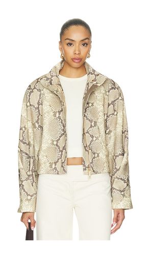 BLOUSON JARVIS en . Taille L. Also en M, S, XL, XS, XXS - Cult Gaia - Modalova
