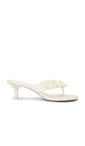 SANDALES AVERY in . Size 39, 40 - Cult Gaia - Modalova
