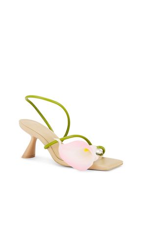 SANDALES RIA en . Taille 37. Also en 38, 39 - Cult Gaia - Modalova