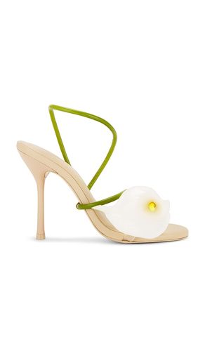 SANDALES CASSIDY en . Taille 37. Also en 39, 40 - Cult Gaia - Modalova