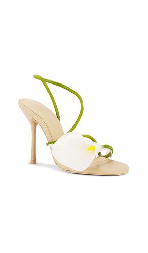 SANDALES CASSIDY en . Taille 37. Also en 39, 40 - Cult Gaia - Modalova