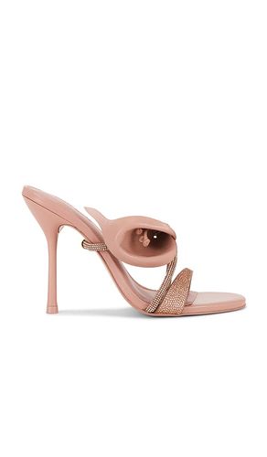 SANDALES CAMILLA en . Taille 36. Also en 39 - Cult Gaia - Modalova
