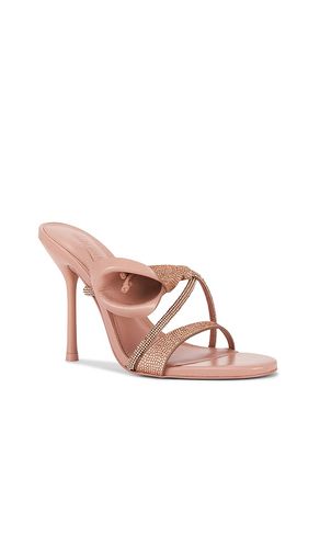 SANDALES CAMILLA en . Taille 36. Also en 39 - Cult Gaia - Modalova