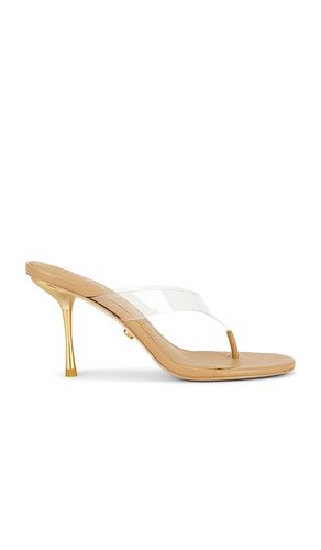 SANDALES STELLA en . Taille 37. Also en 37.5, 38.5, 39.5 - Cult Gaia - Modalova