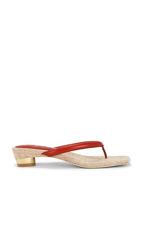 SANDALES SIERRA en . Taille 38.5. Also en - Cult Gaia - Modalova