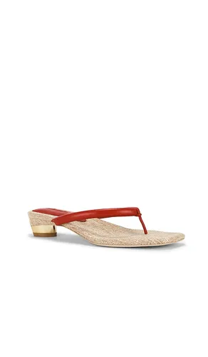 SANDALES SIERRA en . Taille 38.5. Also en 39 - Cult Gaia - Modalova