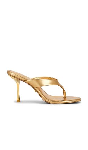 ESCARPINS STELLA en . Taille 36. Also en 38, 38.5, 39, 39.5 - Cult Gaia - Modalova