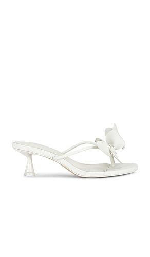 SANDALES ADDISON en . Taille 37.5. Also en 38, 39 - Cult Gaia - Modalova