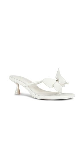 SANDALES ADDISON en . Taille 37.5. Also en 38, 39 - Cult Gaia - Modalova