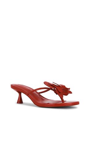 SANDALES ADDISON en . Taille 37. Also en 37.5, 38, 38.5 - Cult Gaia - Modalova