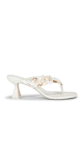 SANDALES ABI en . Taille 36. Also en 36.5, 40 - Cult Gaia - Modalova