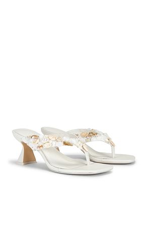 SANDALES ABI en . Taille 36. Also en 36.5, 40 - Cult Gaia - Modalova