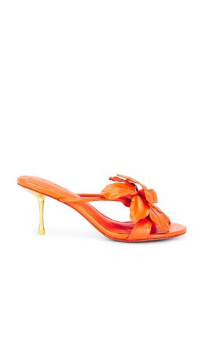 SANDALES VALORIA en . Taille 35. Also en 35.5, 37.5, 38, 38.5 - Cult Gaia - Modalova