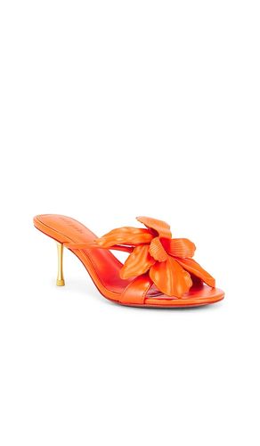 SANDALES VALORIA en . Taille 35. Also en 35.5, 37.5, 38 - Cult Gaia - Modalova