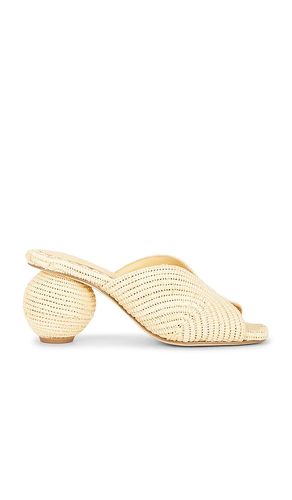 Tia Sandal in . Size 36. Also in 36.5, 37, 38 - Cult Gaia - Modalova