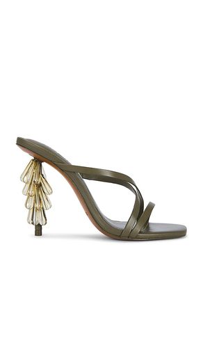 SANDALES SAGE en . Taille 37. Also en 37.5, 38, 39.5 - Cult Gaia - Modalova