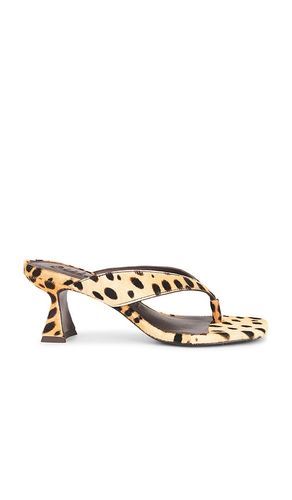 SANDALES ABI en . Taille 35.5. Also en 36 - Cult Gaia - Modalova