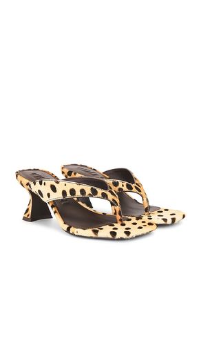 SANDALES ABI en . Taille 35.5. Also en 36 - Cult Gaia - Modalova