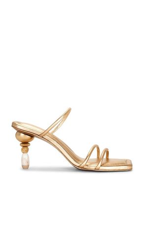SANDALES REIGN en . Taille 36. Also en 36.5, 37, 37.5, 38, 38.5, 39.5, 40 - Cult Gaia - Modalova