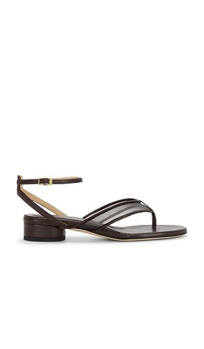 SANDALES FINA THONG en . Taille 37. Also en 39 - Dear Frances - Modalova