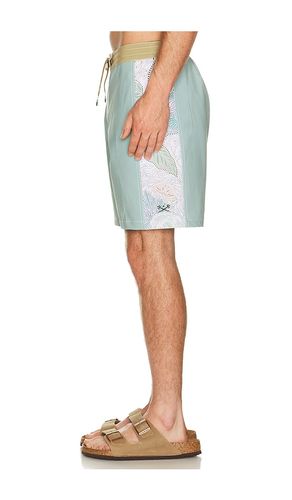 Rincon Boardshort en . Taille 30. Also en 34, 36 - Dark Seas - Modalova