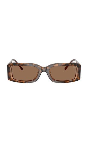 Rectangular Sunglasses in Bilayer Havana in - Diesel - Modalova