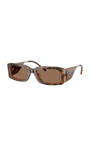 Rectangular Sunglasses in Bilayer Havana in - Diesel - Modalova