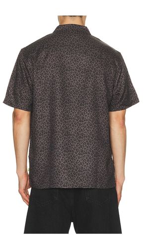 CHEMISE CAT en . Taille L. Also en - Duvin Design - Modalova