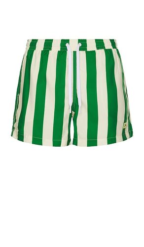 SHORT DE BAIN TRAVELER en . Taille S. Also en XL/1X - Duvin Design - Modalova