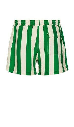 SHORT DE BAIN TRAVELER en . Taille S. Also en XL/1X - Duvin Design - Modalova