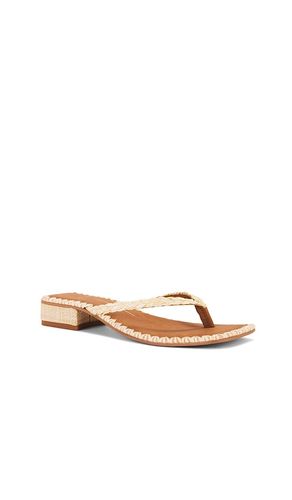 SANDALES BARTY en . Taille 7.5. Also en 8.5 - Dolce Vita - Modalova