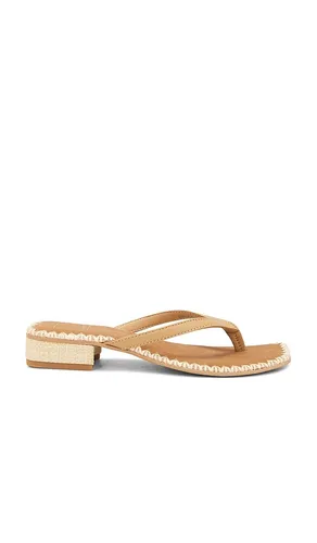 SANDALES BARTY en . Taille 6. Also en 6.5, 7, 8 - Dolce Vita - Modalova