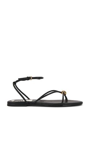 SANDALES KENLEY en . Taille 6.5. Also en 7, 7.5, 8, 9 - Dolce Vita - Modalova
