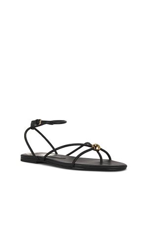 SANDALES KENLEY en . Taille 6. Also en 7, 7.5, 8, 8.5, 9, 9.5, 10 - Dolce Vita - Modalova
