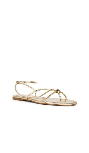 SANDALES KENLEY en . Taille 10. Also en 7.5 - Dolce Vita - Modalova