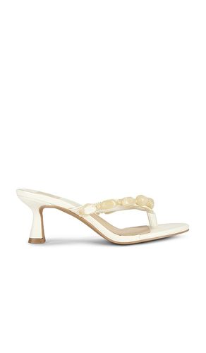 TONG À TALON DAKSIE en . Taille 10. Also en 6.5, 7, 7.5, 8.5, 9, 9.5 - Dolce Vita - Modalova